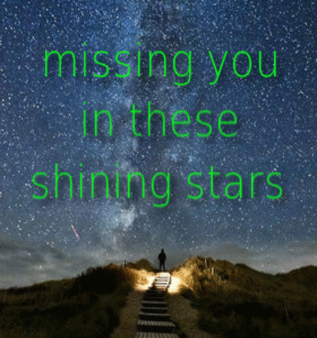 Shining Stars For You.