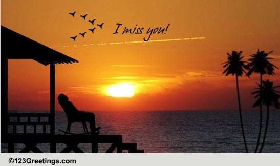 The Moments We Shared!