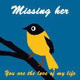 Missing Her, Bird...