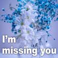 I Am Missing You With Flowers