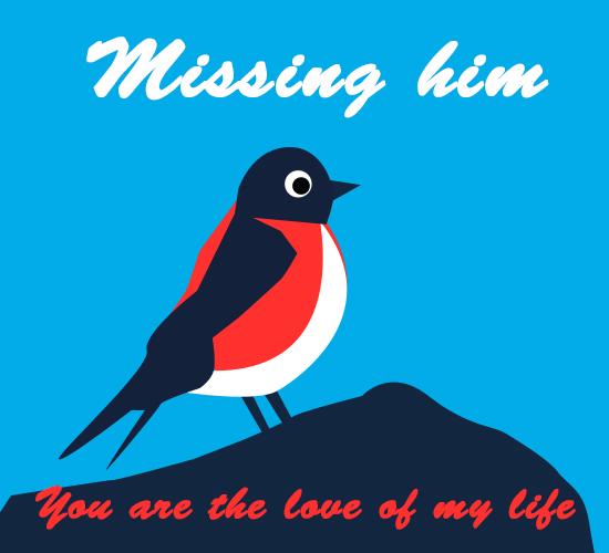 Missing Him, Bird