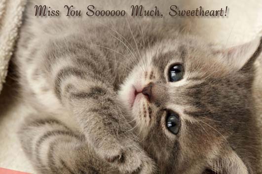 Miss You Soooooo Much, Sweetheart! Free Missing Him eCards | 123 Greetings