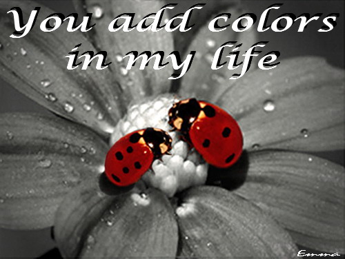 You Add Colors In My Life.