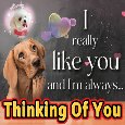 I’M Always Thinking About You.
