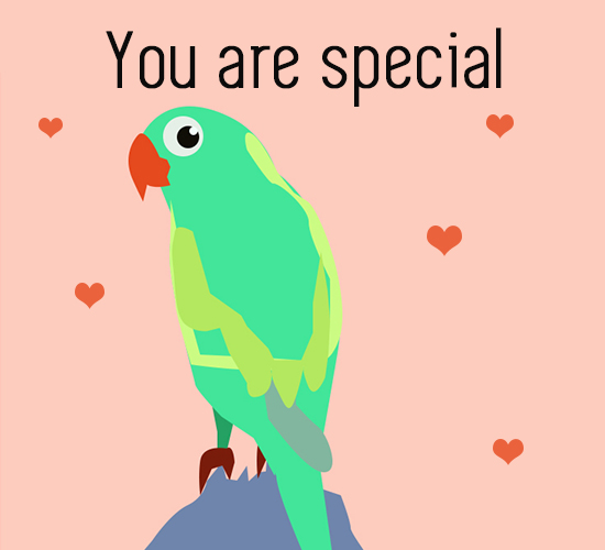 You Are Special Parrot.