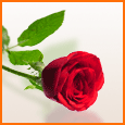 For That Special Some One.