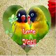 Until I Met You My Love!