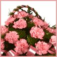 Bright Flowers To Brighten Your Day.