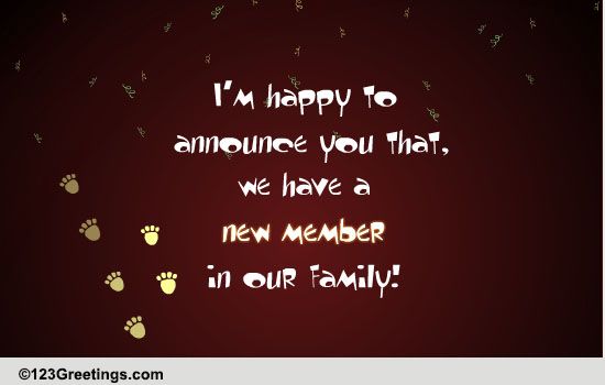 Pet Announcement!
