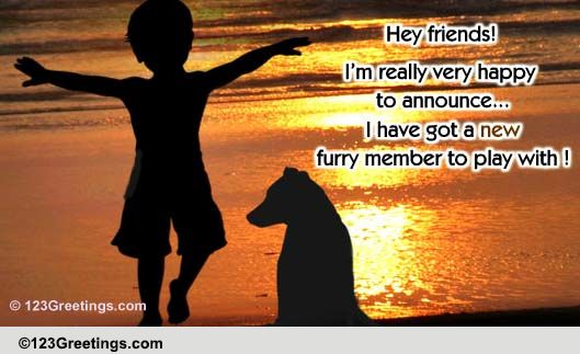 New Furry Member...