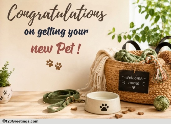 For Someone Who Got A New Pet
