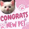 Congratulations On Getting A New Pet.