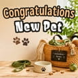 For Someone Who Got A New Pet