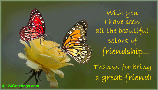 The Beautiful Colors Of Friendship!