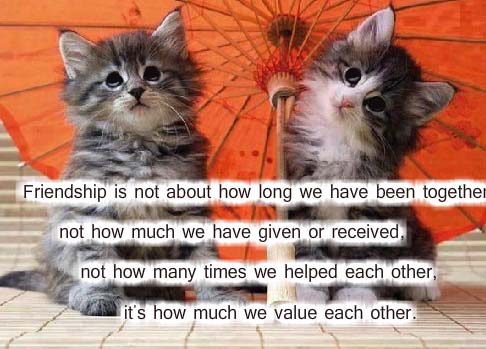 How Much We Value Each Other. Free Friendship eCards, Greeting Cards ...