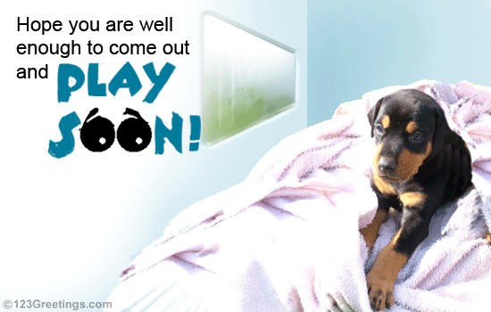 get well soon puppy ecard