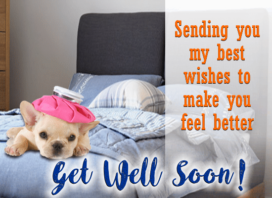 Get Well Soon Card For Your Pet.