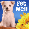 Warm Get Well Wishes!