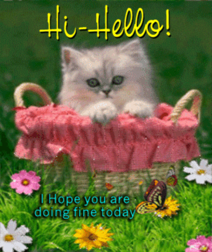 Kitty Says Hi-Hello To You.