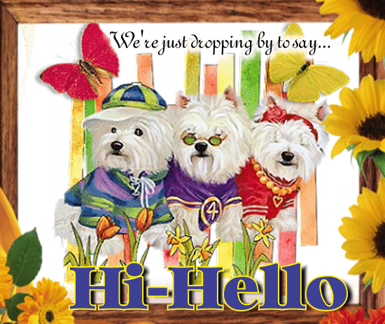Three Dogs Say Hi-hello.