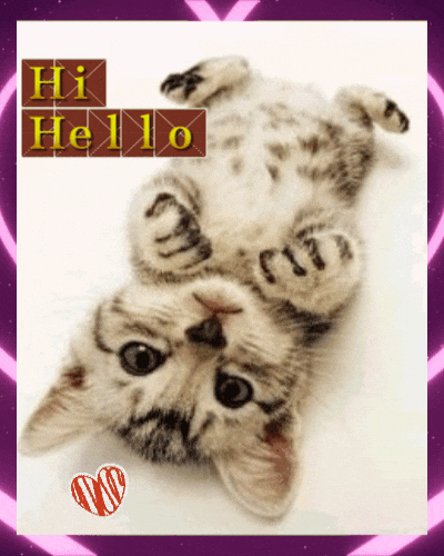 A Cute Hello Ecard For You.