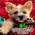 A Warm Hi!