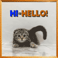 My Cute Hi-Hello Card For You.