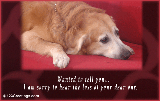 I Am Sorry! Free Loss of Pet eCards, Greeting Cards 123