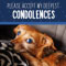 Loss Of Pet Condolences.