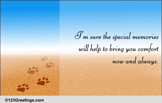 Loss Of Companionship!
