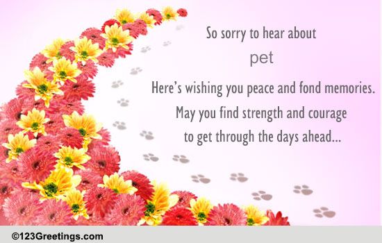 Strength & Courage! Free Loss of Pet eCards, Greeting Cards | 123 Greetings