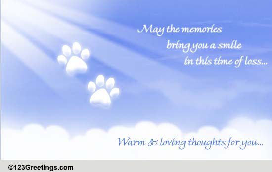 May The Memories...
