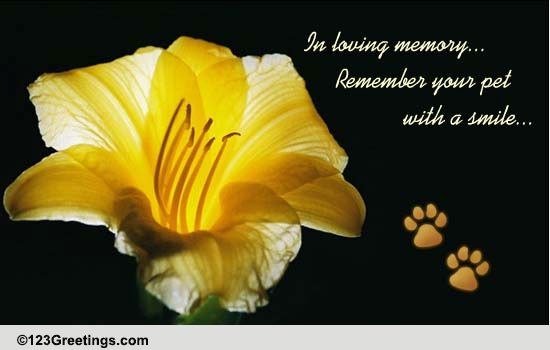 Remember... Free Loss of Pet eCards, Greeting Cards | 123 Greetings