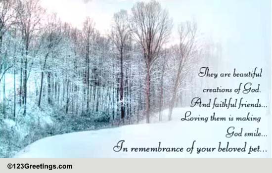 They Are Beautiful Creations Of God...