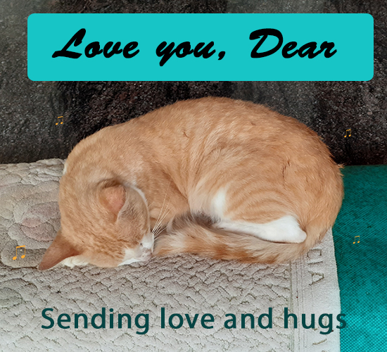 Love You Dear, Cat.