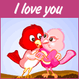 Love Birds!