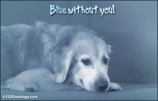 Blue Without You...