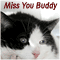Miss You Buddy!