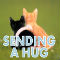 Sending A Hug.