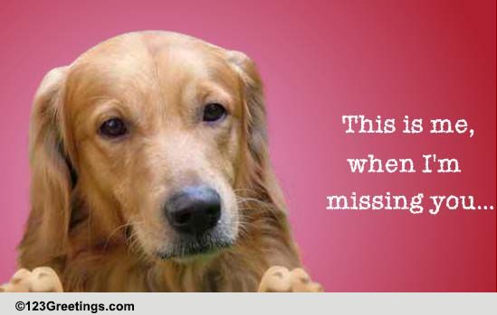 Missing Someone! Free Miss You eCards, Greeting Cards | 123 Greetings