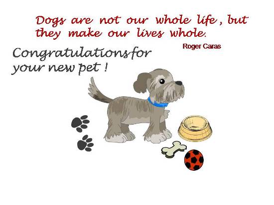 Express Delight On Dear Ones New Pet Free Pets Etc eCards 