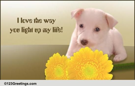 You Light Up My Life!