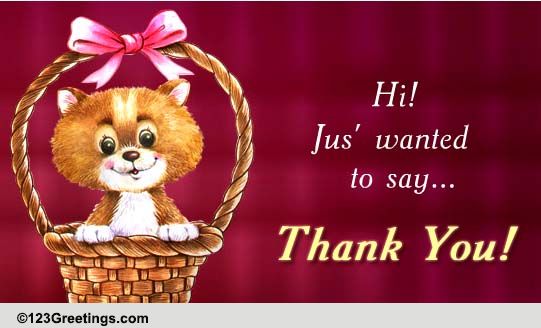 Wanted To Say Thank You...