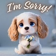 Please Forgive Me..