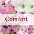 Sympathy And Comfort For A Dear One.