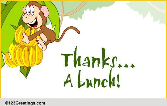A Big Thankyou For Birthday Wishes!