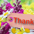 Thank You From Butterflies.