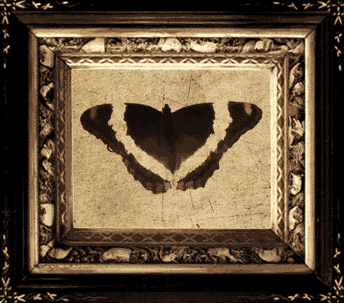 Vintage Frame With Butterfly.