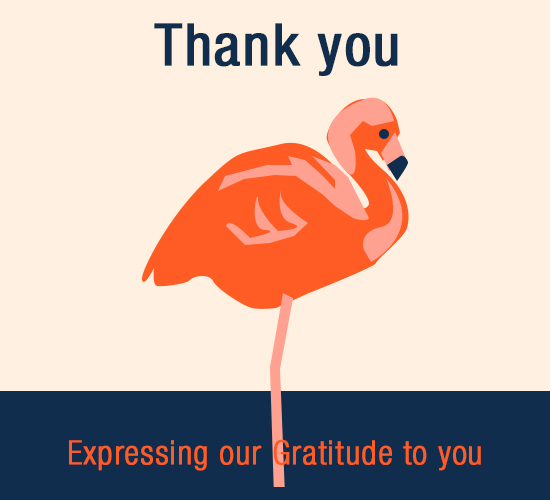 thank you template with flamingo images