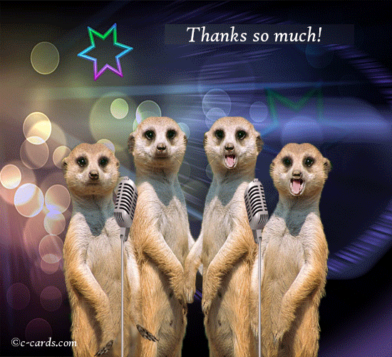 Thanks So Much By Meerkats.